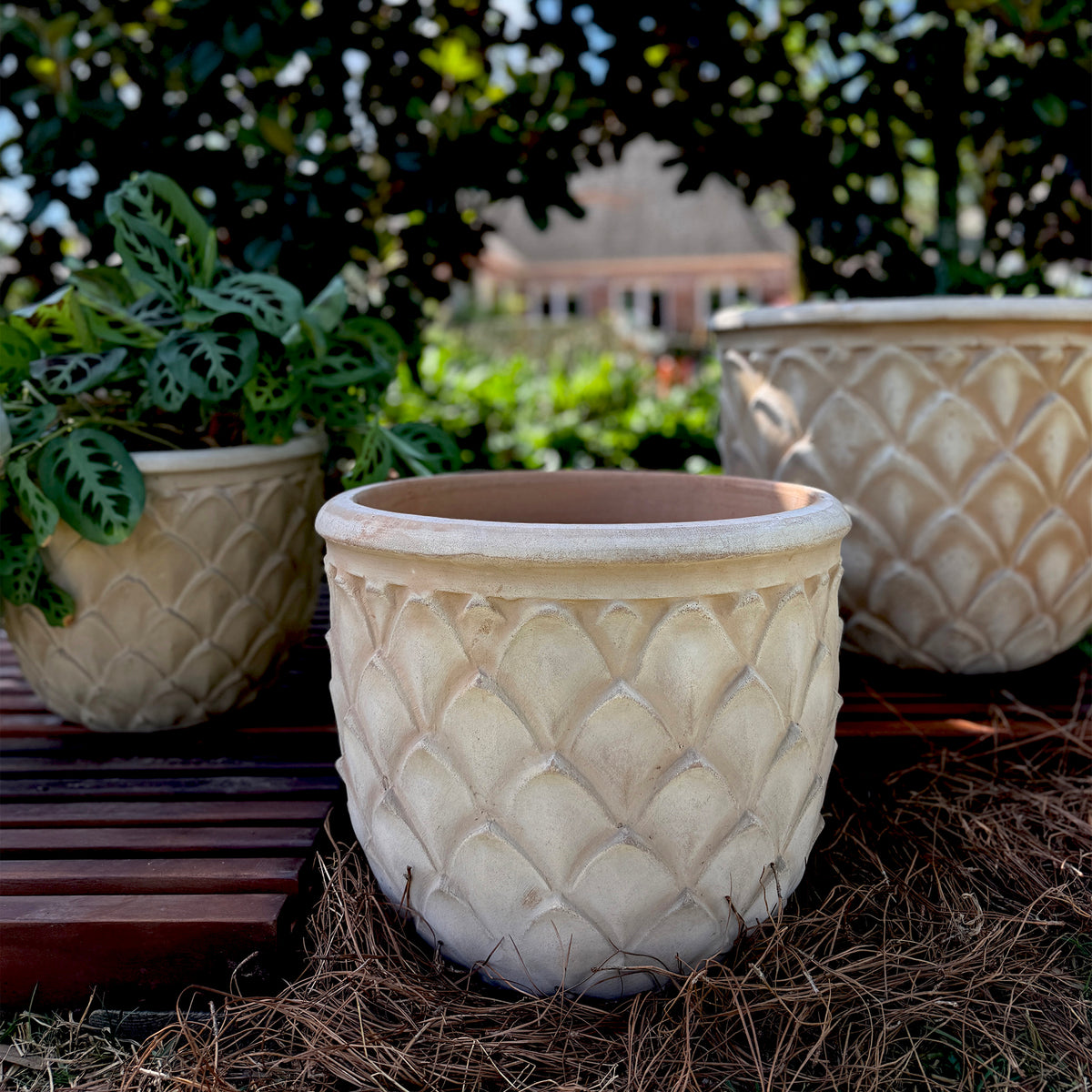 Artichoke Planter – Anamese Garden & Home
