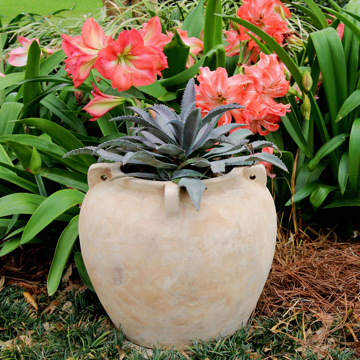 4 Handle Cache Pot • Vietnamese Unglazed – Anamese Garden & Home