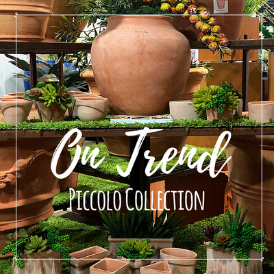 On Trend: Piccolo Collection