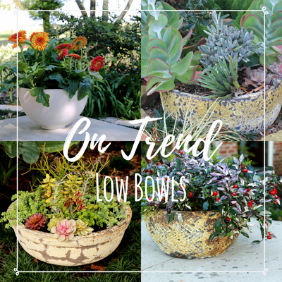 On Trend: Low Bowls
