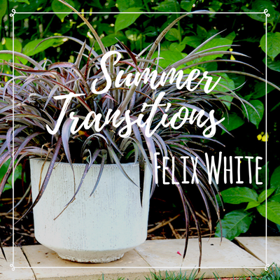 Summer Transitions: Felix White