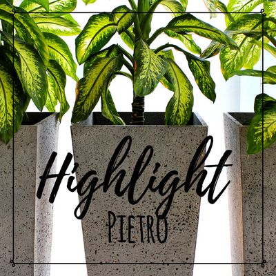Highlight: Pietro