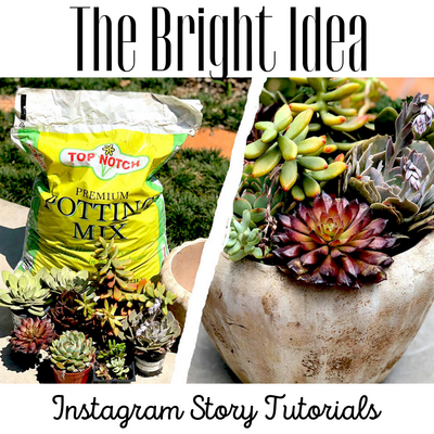 The Bright Idea: Instagram Story Tutorials