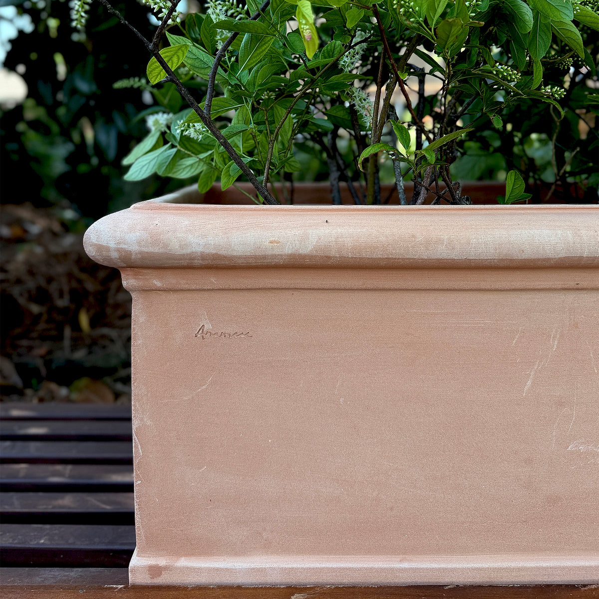 Classic Trough – Anamese Garden & Home