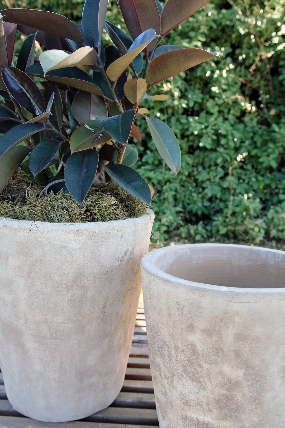 Angamese Sansui Tall Planter – Anamese Garden & Home