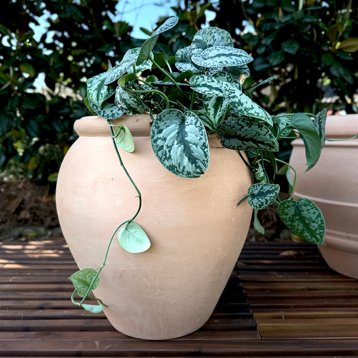 Italian Water Jar – Anamese Garden & Home