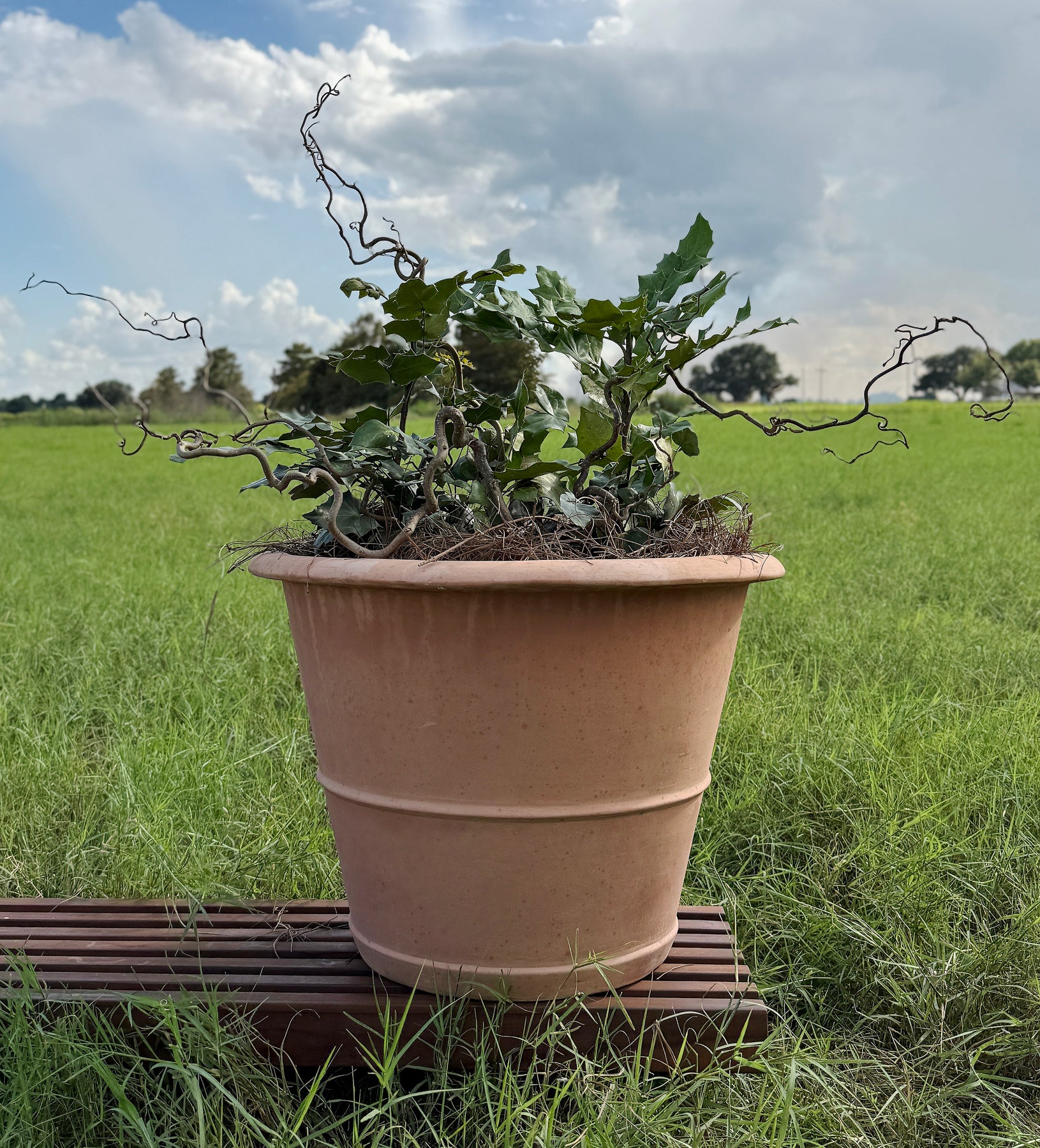 Angamese Caterina Planter – Anamese Garden & Home