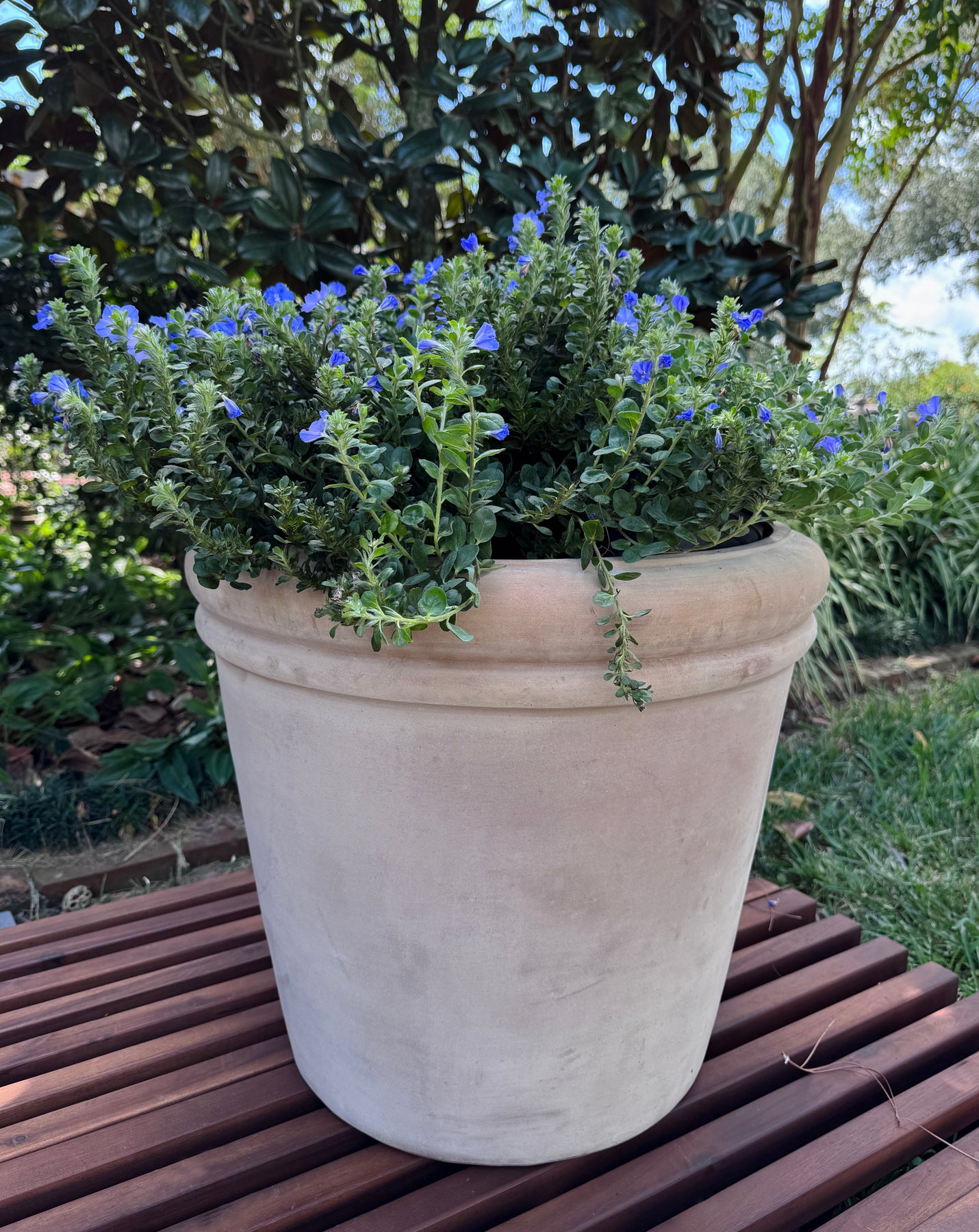 Angamese Celia Planter – Anamese Garden & Home