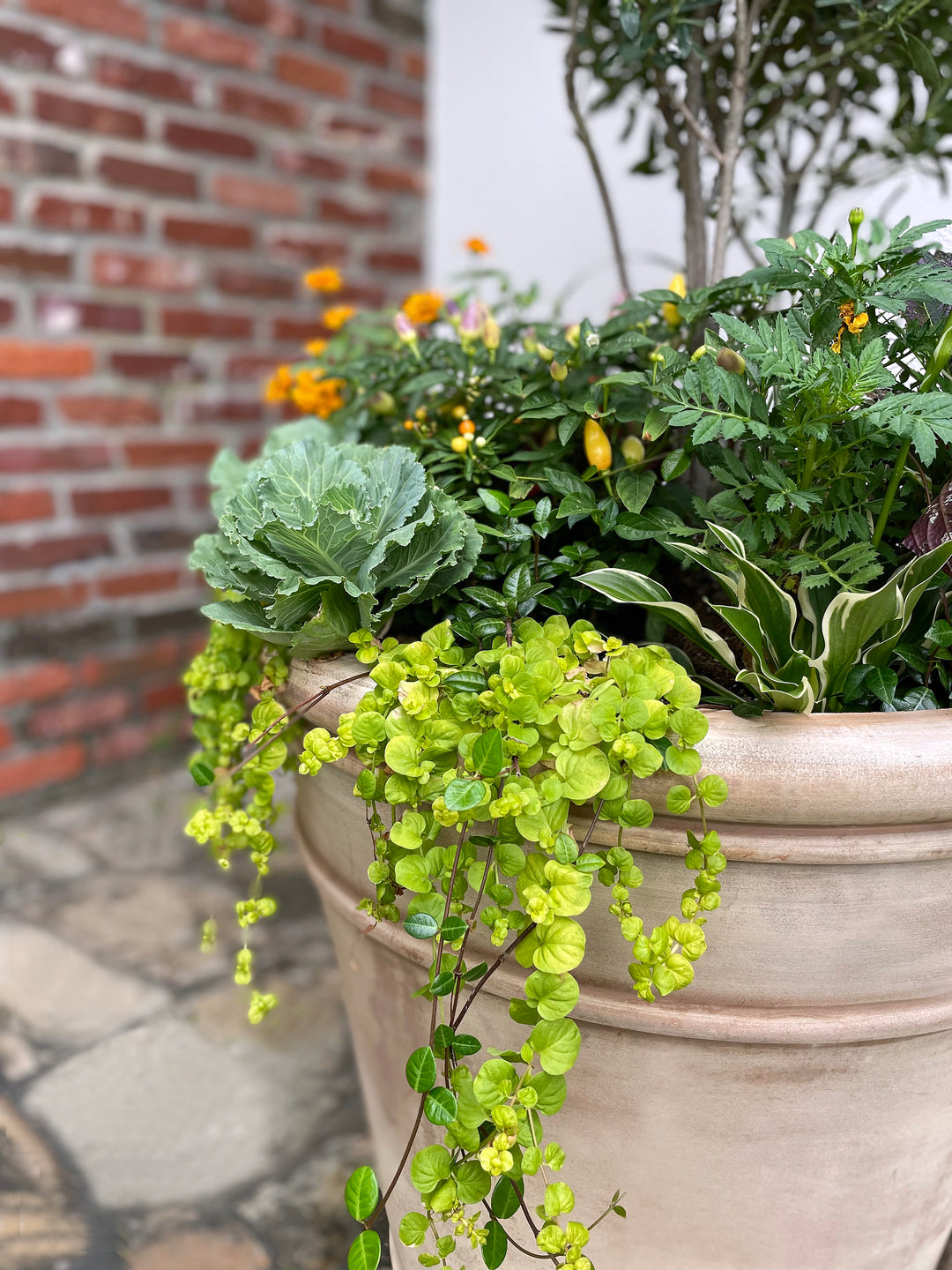 Claridge House Planter – Anamese Garden & Home