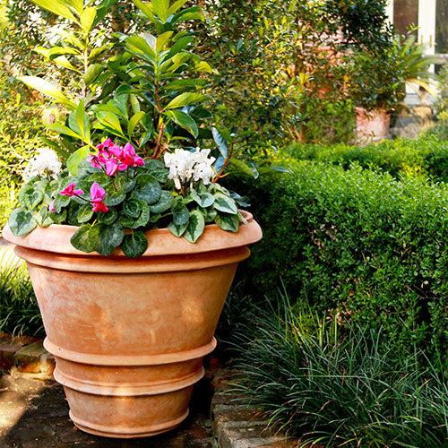 tuscan plant pots Nuovo Tuscan Planter – Anamese Garden & Home