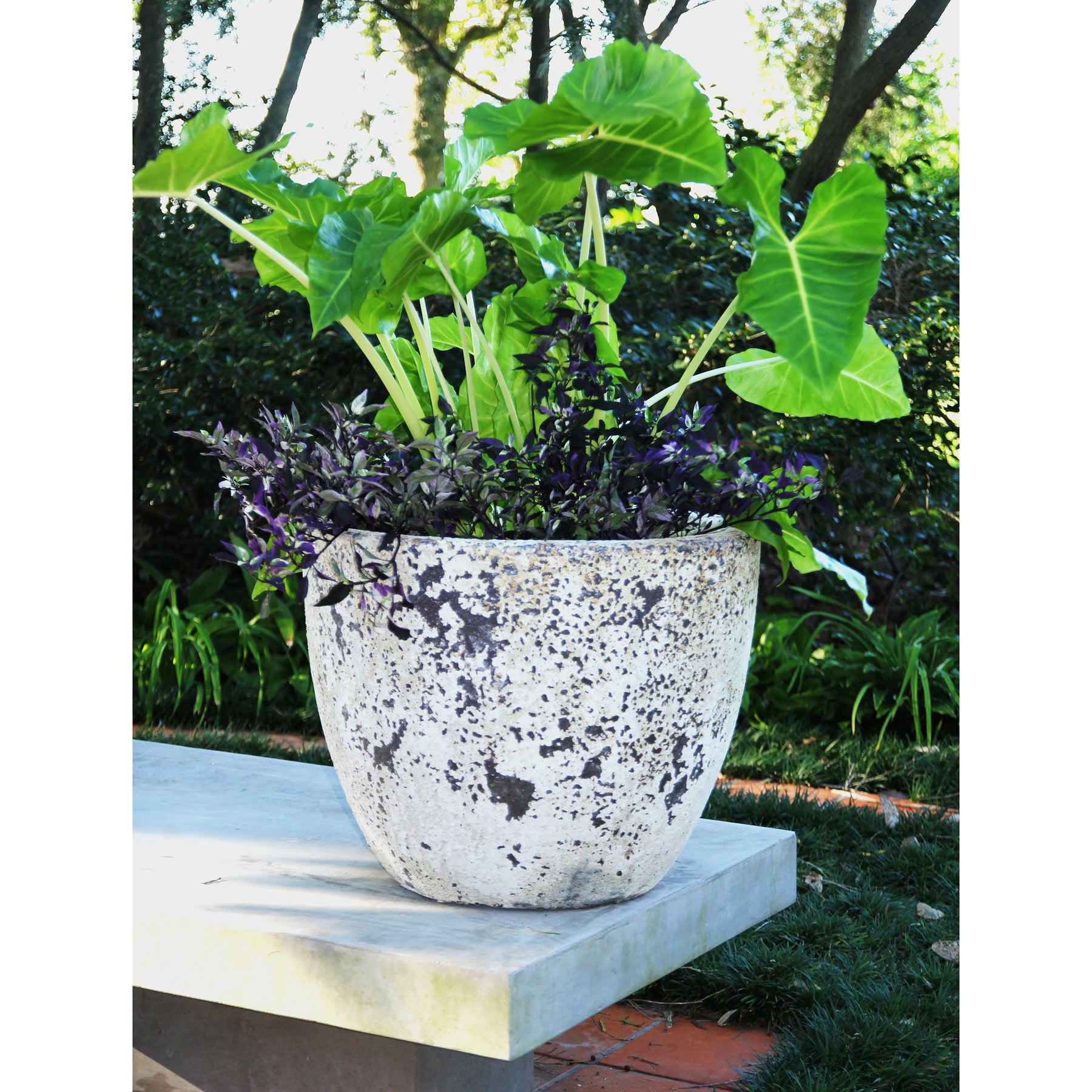 egg planter pots Ovo Egg Planter – Anamese Garden & Home